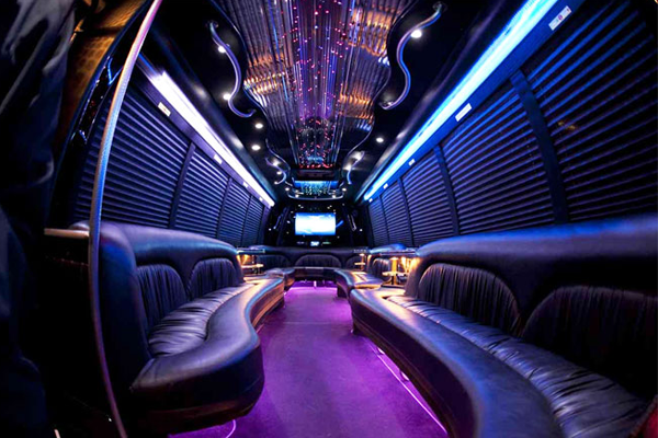 28 Passenger Party Bus interior